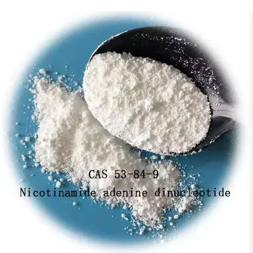 99% nicotinamide adenine dinucleotide NAD ar gyfer CAS gwrth-heneiddio 53-84-9