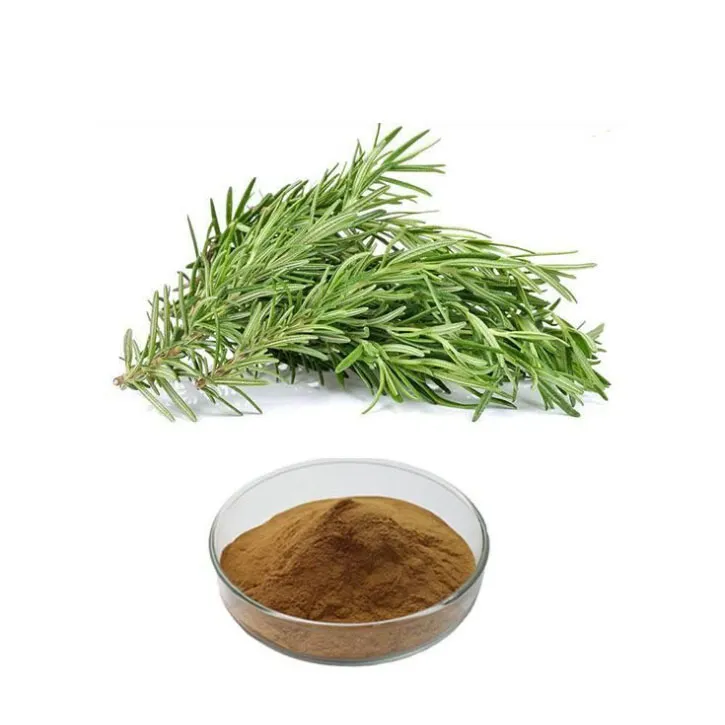 Powdr asid carnosig gradd cosmetig Cas 3650-09-7